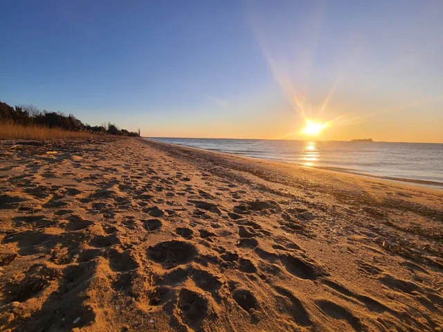 Artist Cottage Cove Point