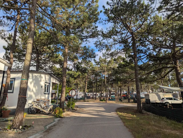 Camping Paredes de Vitória