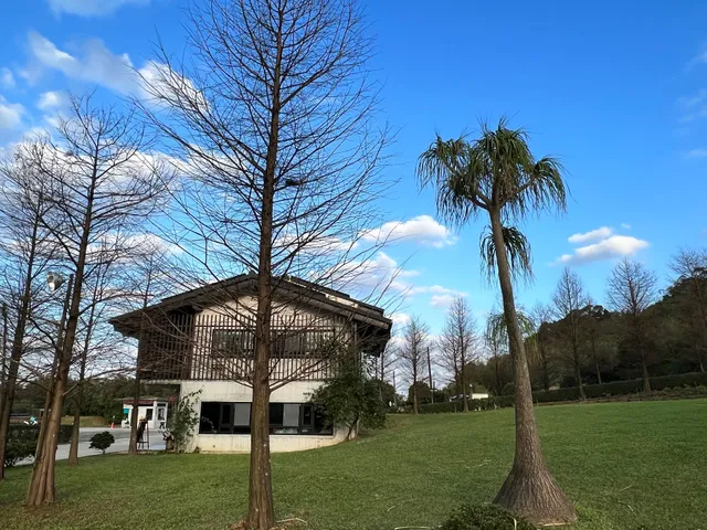JinShan Queenstown Forest