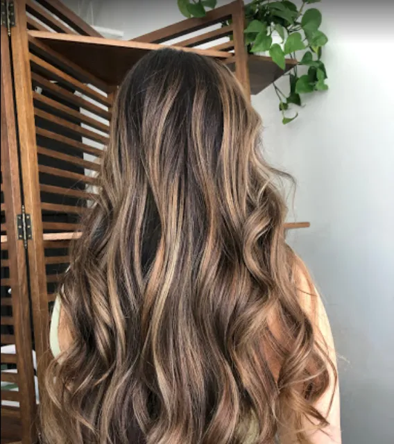 The Balayage Studio
