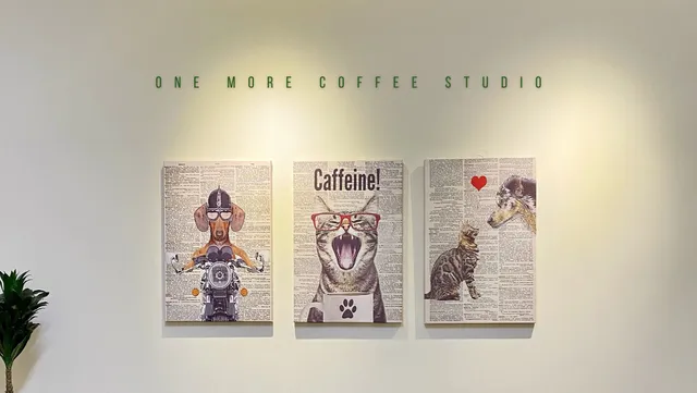 汪喵咖啡教學｜100+位女性轉職起點｜桃園中壢推薦｜拉花手沖義式｜課程體驗｜國際證照｜場地租借