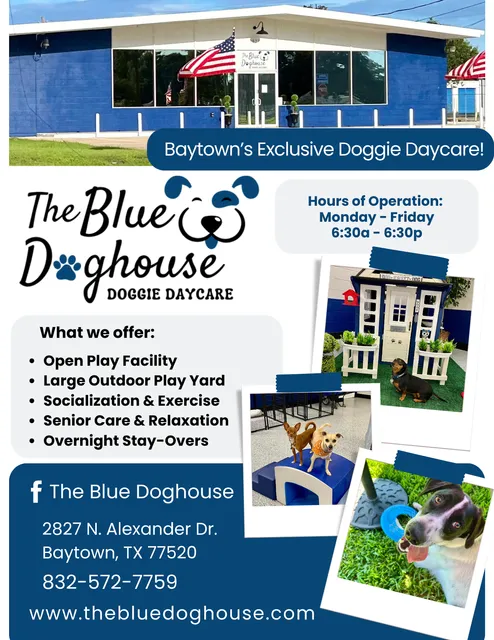 The Blue Doghouse