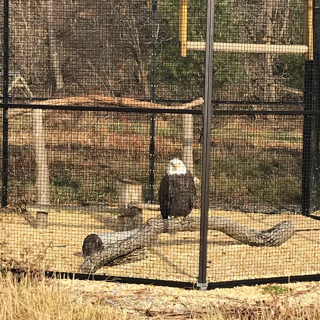 Wildlife Center Friends