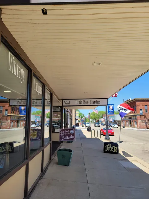 Little Shop Of Hoarders