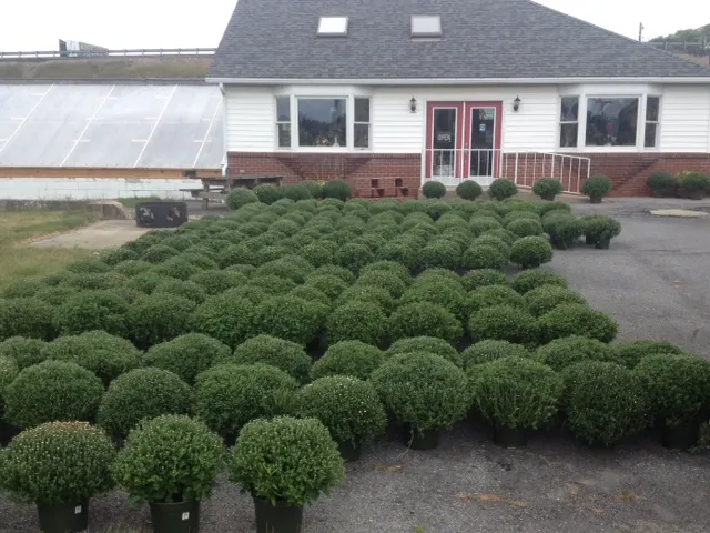 Bittner-Long Floral & Greenhouse