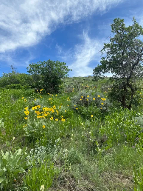 Three Falls Ranch Trailhead