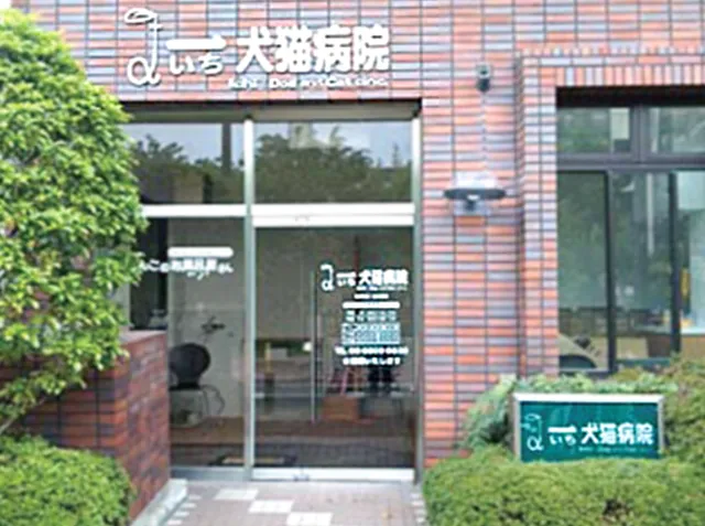 Ichi Dog and Cat Hospital