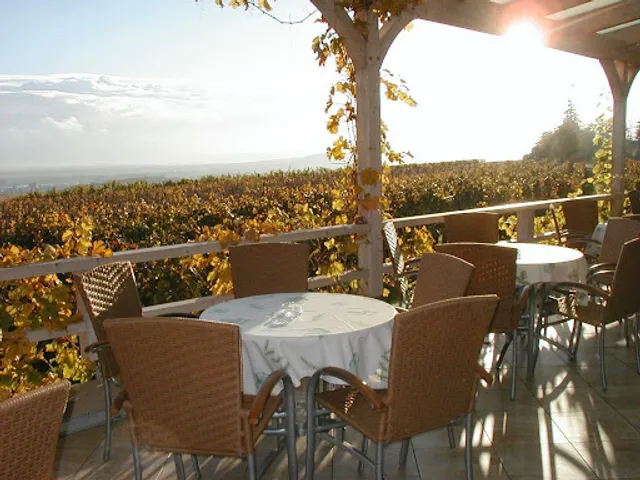 Weingut | Gutsausschank Goldatzel