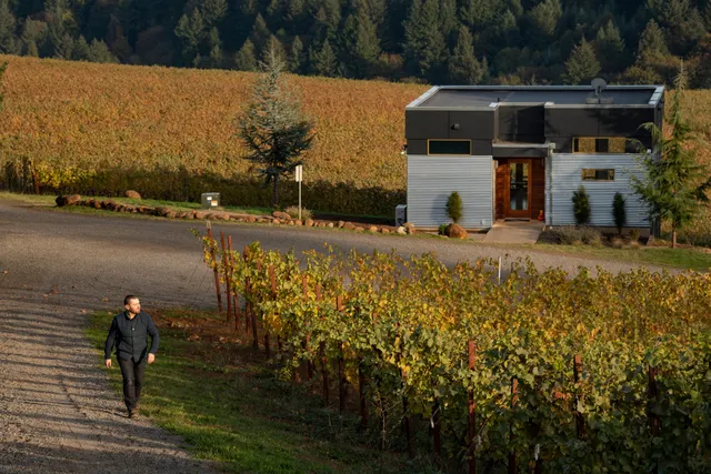 Haakon / Lenai Vineyard, Purple Hands Vineyard Tastings