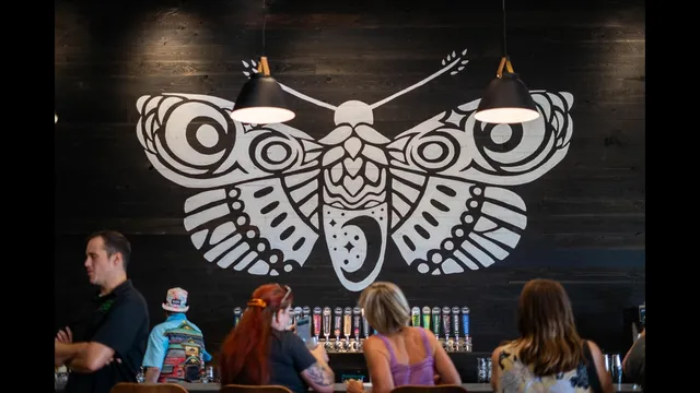 Nocterra Brewing Co. - Audubon