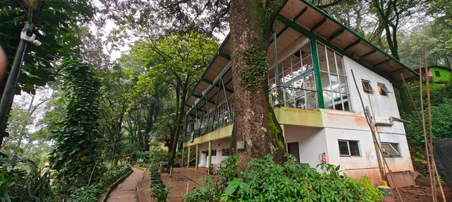 Kemmannugundi Hill Resort by Jungle Lodges