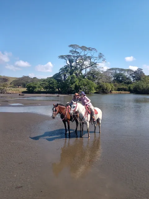 The Riding Adventure horseback costa rica