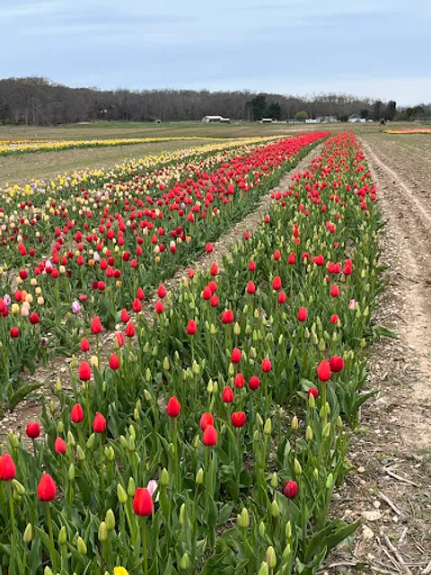 Waterdrinker North Fork