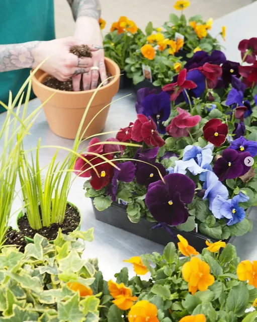 Tonkadale Greenhouse