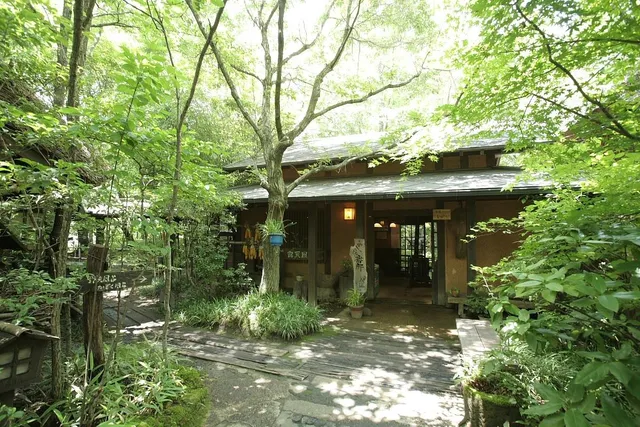 Kurokawa Onsen Oyado Noshiyu