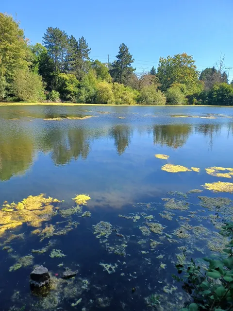 Twin Ponds Parks' trail Of The Cedars Shoreline Wa