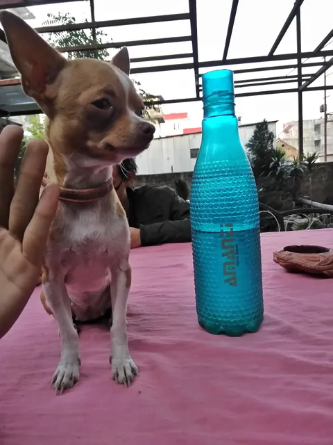 Entertainment Garden Restaurant And Bar