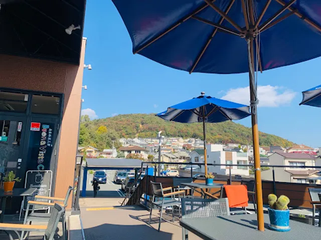 Buena Vista Coffe Club