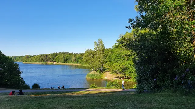 Car Park - Virginia Water
