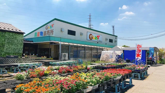 Farmer's Direct Sales Market