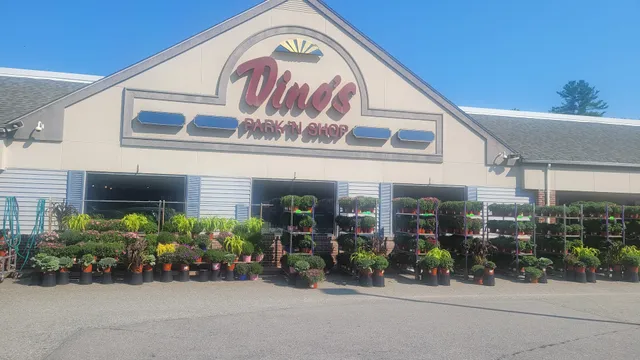 Dino's Park & Shop
