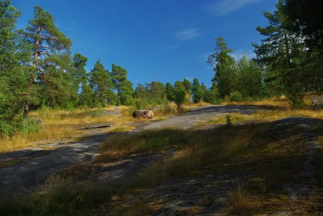 Pukinmäen koirapuisto