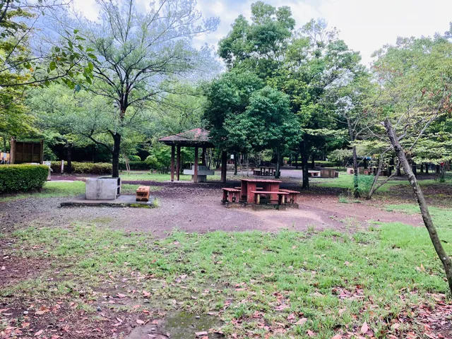 観音山ファミリーパークバーベキュー広場(カローラ高崎バーベキュー広場)