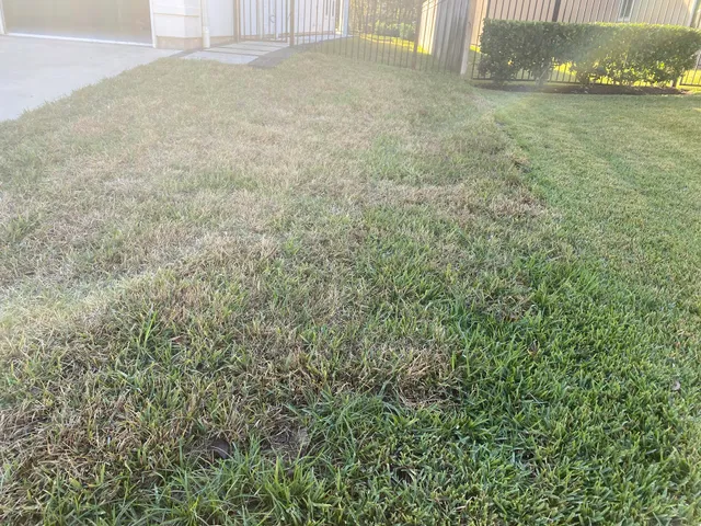 100% Tree & Lawn Care LLC