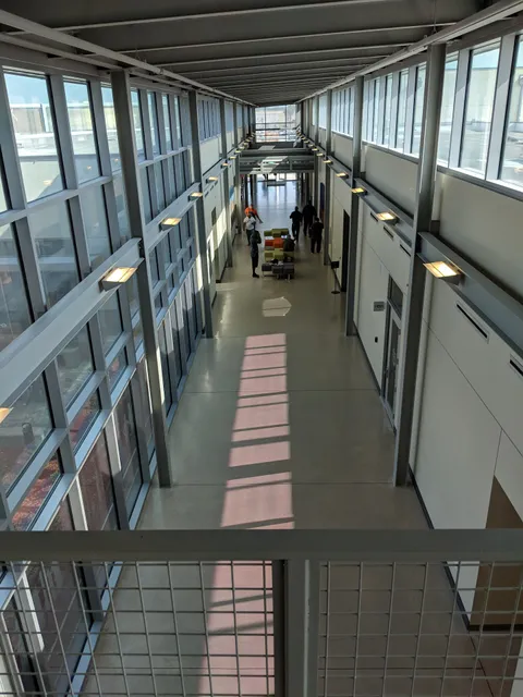 Health and Safety Council