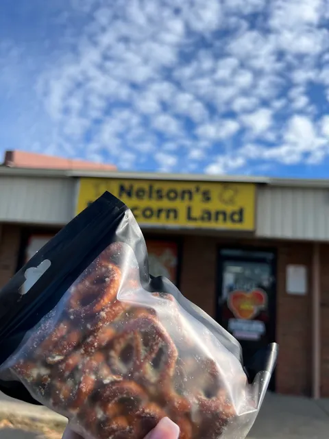 Nelson's Popcorn Land