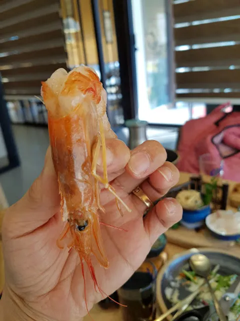 평택불날개닭발