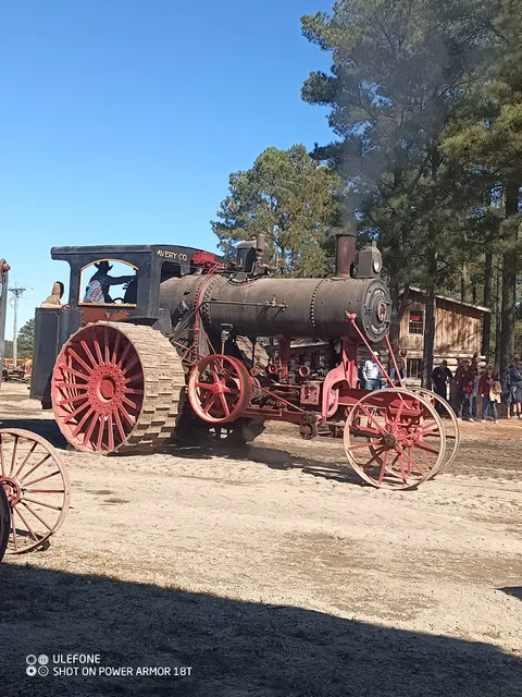 Caney Fork Blueberry Patch