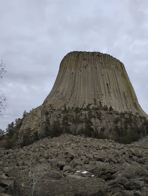 Habitat For Humanity Restore