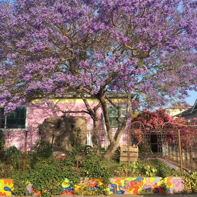 Funkmeyer New Reality Garden