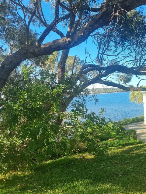 Heaven's Sent Health