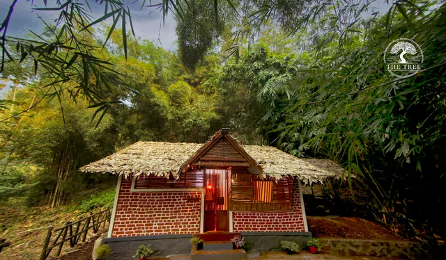 The Tree Organic Farm & Stay