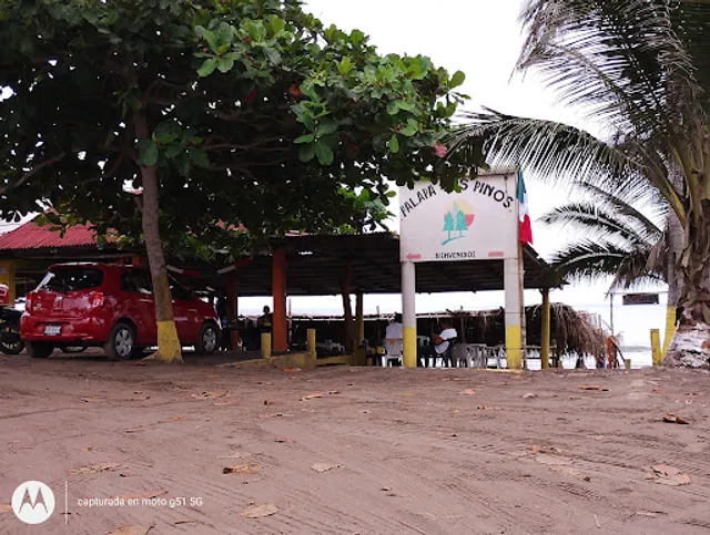 palapa los pinos