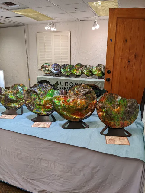 Pueblo Gem & Mineral Show