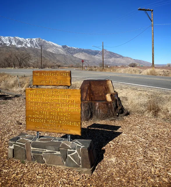 Bristlecone Pine Information and Historic Landmark