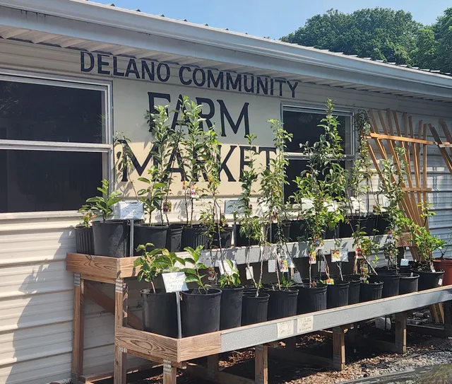 Delano Community Farm Market