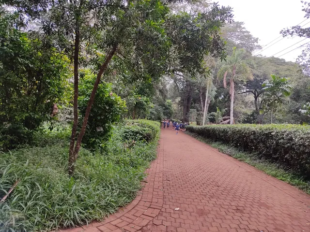 Friends Of Nairobi Arboretum (Fona)