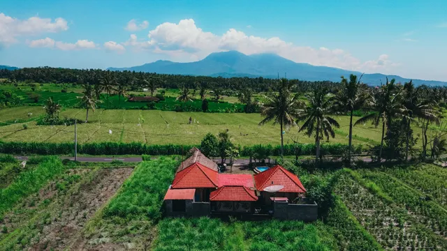 LinkeesHome Bungaya, Accomodation & an authentic Rural Adventures