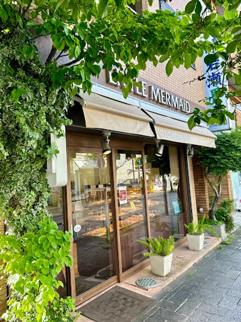 Little Mermaid Oyamadai