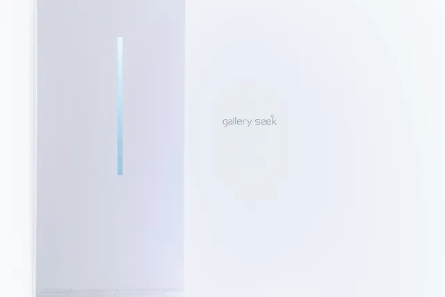 Gallery Seek