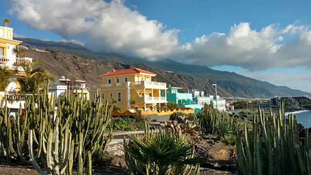 Apartamentos NAUTILUS