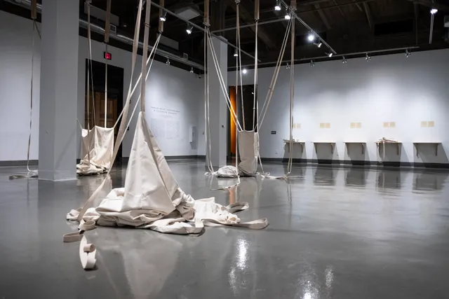 Rubin Center for the Visual Arts