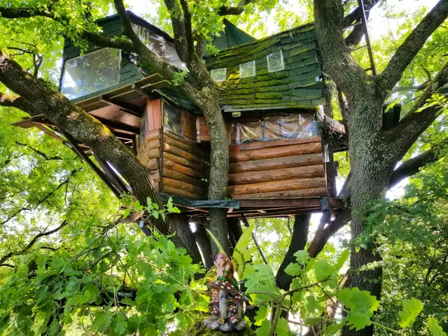 La Cabane Unusual