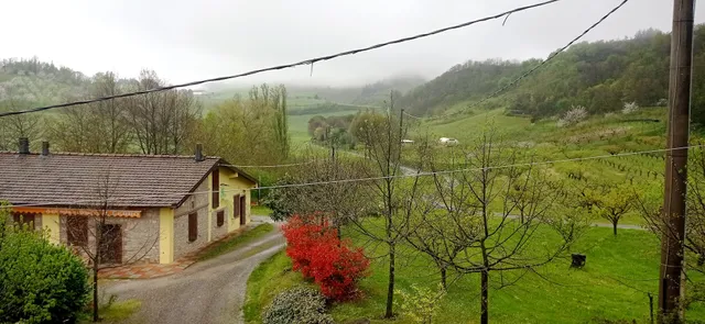 Agriturismo "Il Cerro"