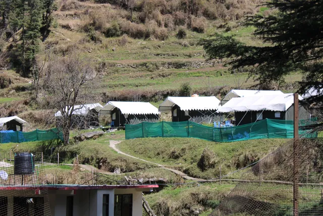 My Manali Adventure camps | Cottage | Best camping | Bonfire | Budgeted stay|Tandoori nights