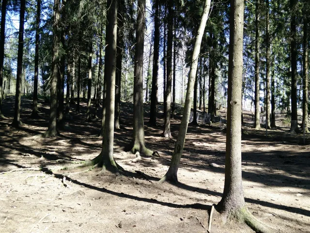 Maunulanpuiston koira-aitaus